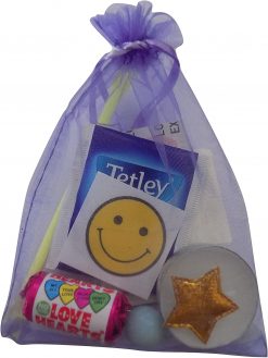 Head Teacher's Survival Kit - bag