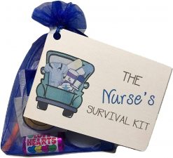 Nurse's Survival Kit - Blue