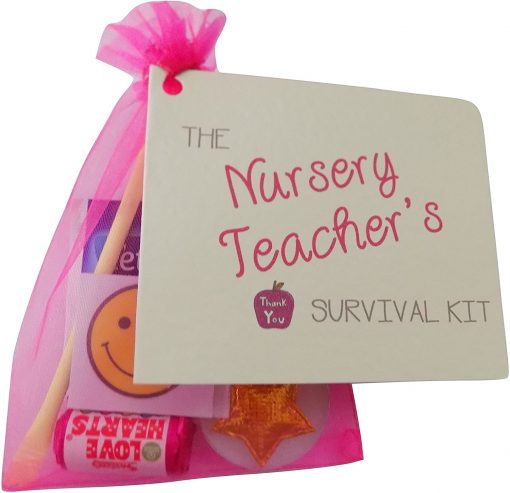 Nursery Teacher's Survival Kit